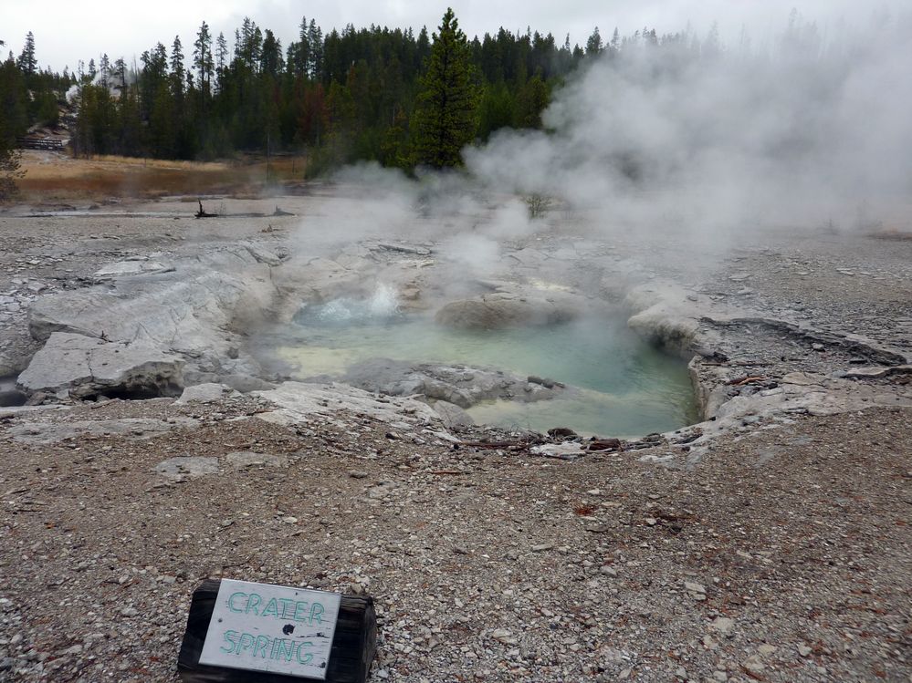 Yellowstone Norris Geyser (38).JPG